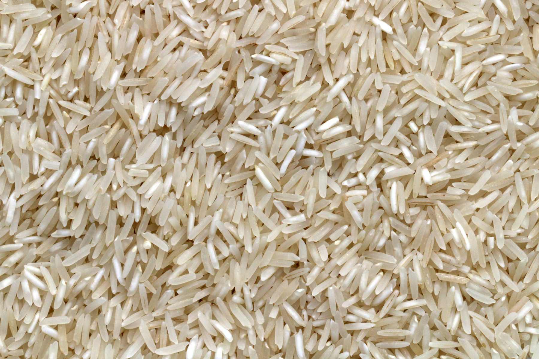 Rice grains